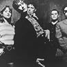 Image of Pulp