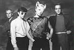 Flock Of Seagulls