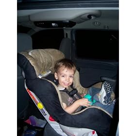 The First Years True Fit Convertible Car Seat