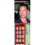 Brad Pitt 2006 Poster Calendar book cover