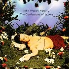 Confessions of St. Ace by John Wesley Harding