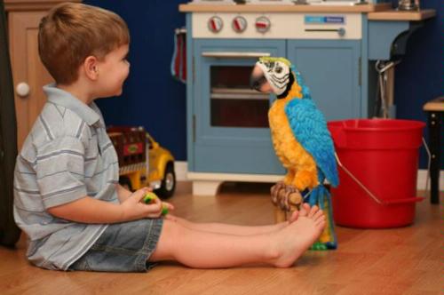 Hasbro FurReal Friends Squawkers McCaw Parrot