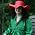 Thumbnail image of Natalie Buske Thomas