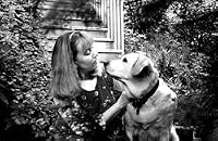 Image of Cynthia Rylant