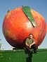 James A. Willis