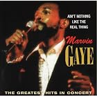 Nothing Like the Real Thing by Marvin Gaye
