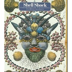 Shell Shock: Conchological Curiosities