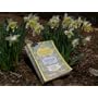 Nourishing Traditions:  The Cookbook that Challeng&hellip by Sally Fallon