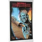 Cryptic Writings of Megadeth book cover