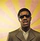 Stevie Wonder