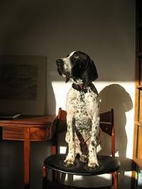 Image of Chris Moriarty