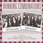 Winning Combinations: Whitesnake and Scorpions by  Scorpions and Whitesnake 