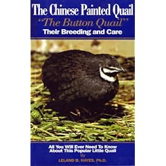 The Chinese Painted Quail, Button Quail: Their Breeding and Care