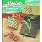 Algebra and Trigonometry: Structure and Method by Littell McDougal