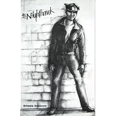 Nighthawk (Lady Winston Series)