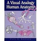 A Visual Analogy Guide to Human Anatomy by  Paul A. Krieger