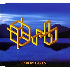 Oxbow Lakes by  The Orb 