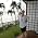 Thumbnail image of Lynne Spreen