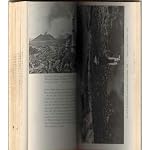 Volcanoes: In History, In Theory, In Eruption book cover