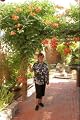 Lynne Perrella