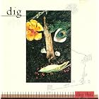 Dig This [RARE] by  Dig, Jim Campagnola, Tony Beard, Chris Palmaro, and Jeff Mironov 