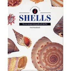 Identifying Shells (Identifying Guide Series)