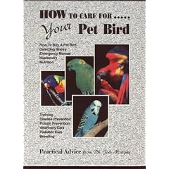 How to Care for Your Pet Bird: Practical Advice by Dr. Murphy