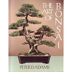 The Art of Bonsai