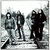 The Magic Numbers