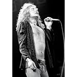 The Photographer's Led Zeppelin book cover