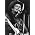 Thumbnail image of Merle Haggard