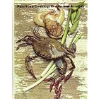 Foods of the World: American Cooking: Creole and Acadian by American Cooking
