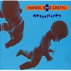Ausgeflippt by  Hanzel Und Gretyl 