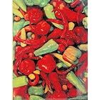 Latin American Cooking - Foods Of The World by American Cooking