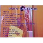 Wish I'd Taken Pictures by  Pansy Division 