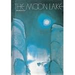 The MOON LAKE (Pixies, No 24) book cover