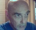 Bill Haynes