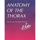 Anatomy of the Thorax (Taken from Atlas of Human Anatomy) by Frank Netter