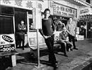 The Wallflowers
