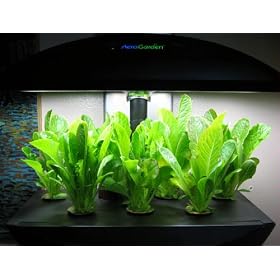 AeroGarden Silver with...