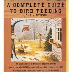 A Complete Guide to Bird Feeding