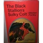 The Black Stallion's Sulky Colt by  Walter Farley