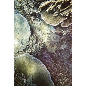 Fujifilm Quick Snap Waterproof 35mm Single Use Camera