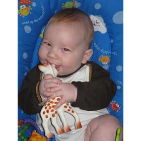 Vulli Sophie the Giraffe Teether