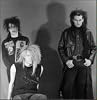 Cevin Key