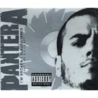 I'm Broken Slaughtered 1 by Pantera