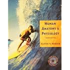 Human Anatomy and Physiology by  Elaine Nicpon Marieb
