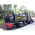 Vale of Rheidol Train  Mid Wales