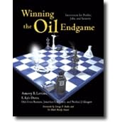 Winning the Oil Endgame