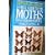 A Field Guide to the Moths of Eastern North America: The Peterson Field Guide Series (Peterson Field Guides)